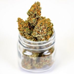 marijuana-3646055_640