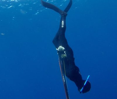 un cours d'initiation apnée martinique