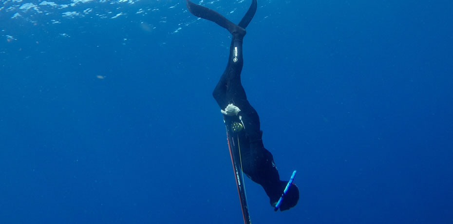 un cours d'initiation apnée martinique